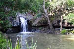 National Park water fall & rock pools